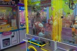 PA娱乐猛龙传奇盘口全面解析与实战投注策略指导