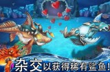 PA电玩魔龙攻略深度解析助你轻松通关魔龙副本